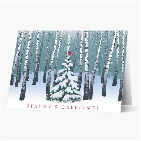 Scenic Christmas Cards Cards For Causes