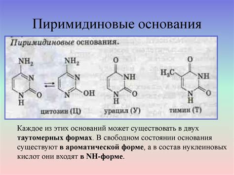 Азотсодержащие гетероциклические соединения - презентация онлайн