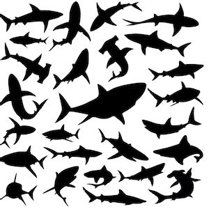 Shark Svg Bundle Shark Silhouettes Svg Hammerhead Shark Svg Etsy Canada