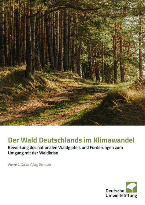 Der Wald Deutschlands Im Klimawandel