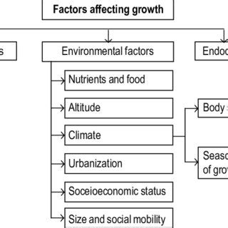 Factors affecting growth. | Download Scientific Diagram