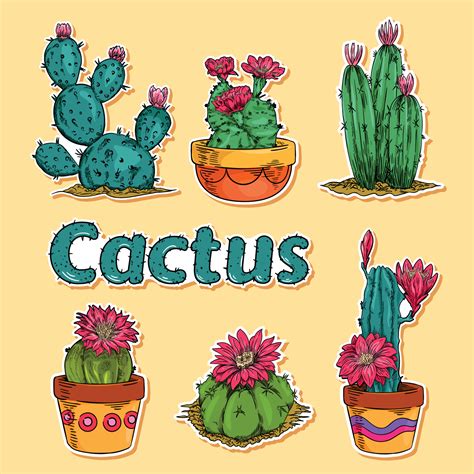 Cactus And Succulents Sticker Template 15190367 Vector Art At Vecteezy