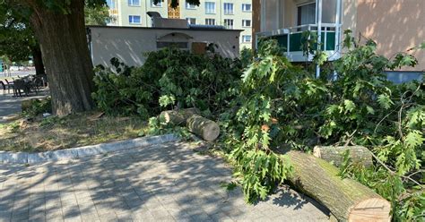 hoyte24 Nachrichtenportal für Hoyerswerda Riesen Ast blockierte