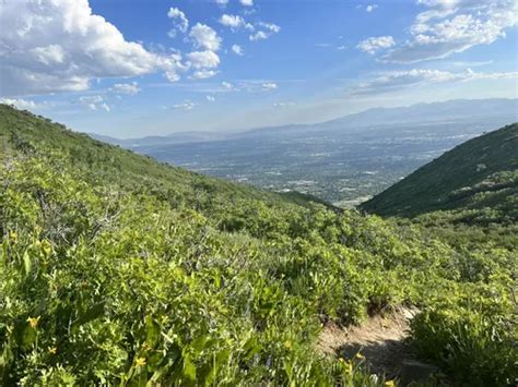 10 Best Hikes And Trails In Foothills Natural Area Alltrails