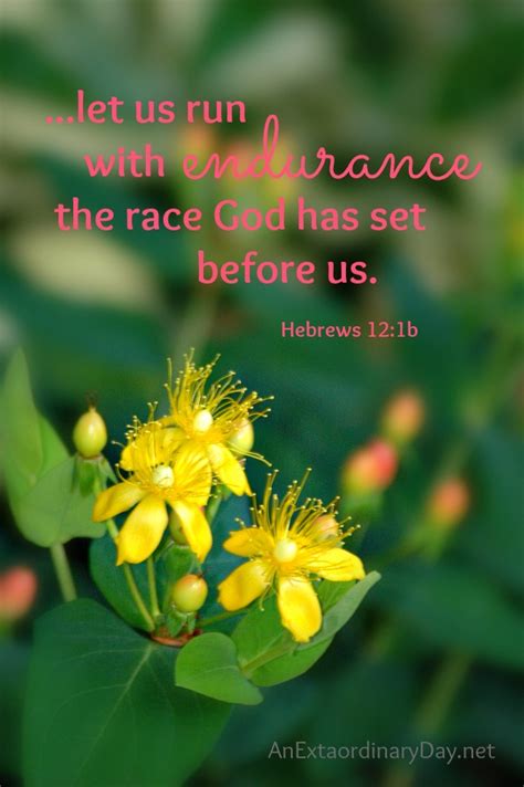 How To Have Endurance Joy Day An Extraordinary Day