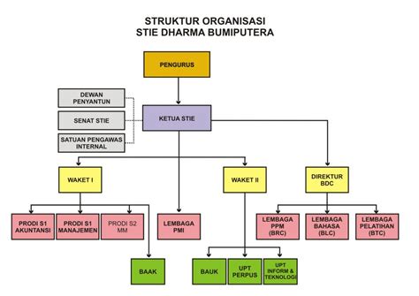 Struktur Organisasi Stie Stie Dharma Bumiputera