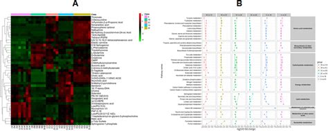 Hierarchical Clustering And Kegg Metabolic Pathways Of Differential