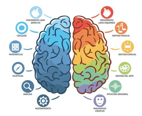 Los Hemisferios Cerebrales Diana María Aguirre Neuropsicóloga Infantil