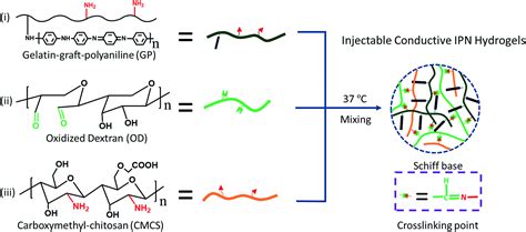 Injectable Conducting Interpenetrating Polymer Network Hydrogels From