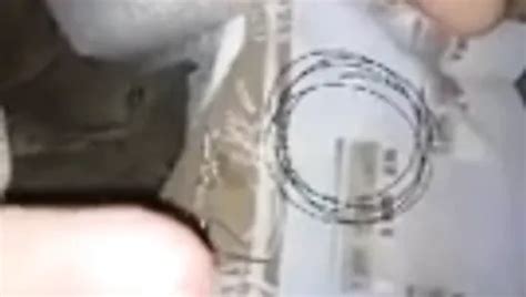 Free Amateur Homemade Wife Porn Videos XHamster