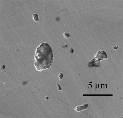 SEM Image Of A Cluster Of MnS Inclusions In SS 303 After Pretreatment