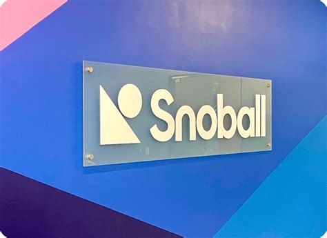 About the Team Behind the WOMM Platform | Snoball