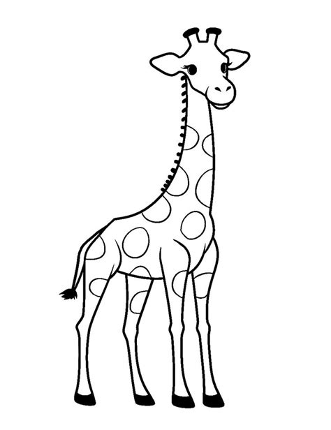 Giraffe Coloring Pages Free Printable Sheets In Giraffe