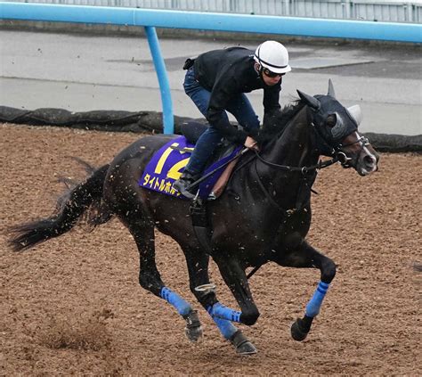 【宝塚記念1週前追い】タイトルホルダー G1連勝へ前回以上の出来 横山和と息ぴったり加速― スポニチ Sponichi Annex ギャンブル