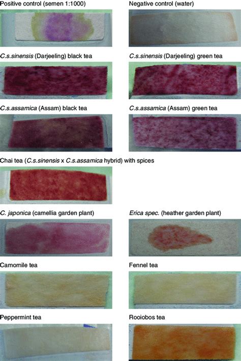 Sensitivity And Specificity Of Presumptive Tests For Blood Saliva And