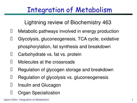 Ppt Integration Of Metabolism Powerpoint Presentation Free Download