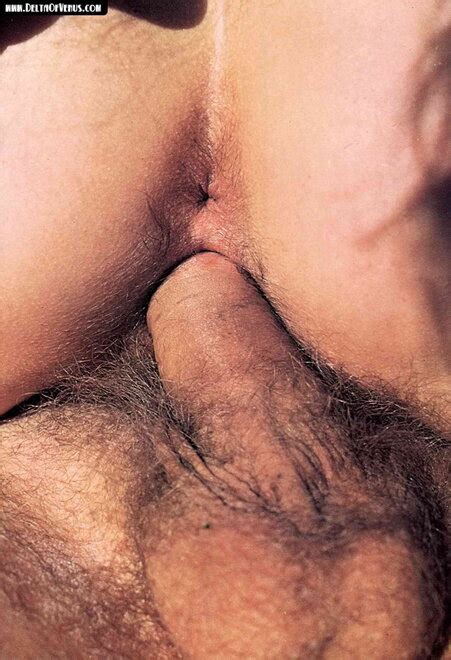 Vintage Sex 02 9141 Porn Pic