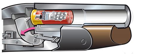 Shotgun Shell Diagram