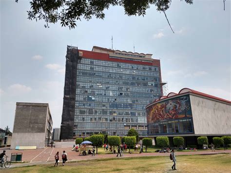 Instituto De Investigaciones Bibliotecológicas Y De La Información