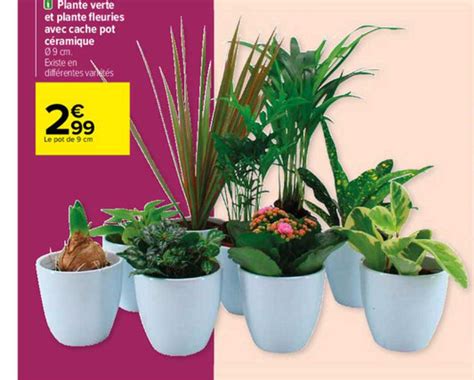 Promo Plante Verte Et Plante Fleuries Avec Cache Pot Céramique chez