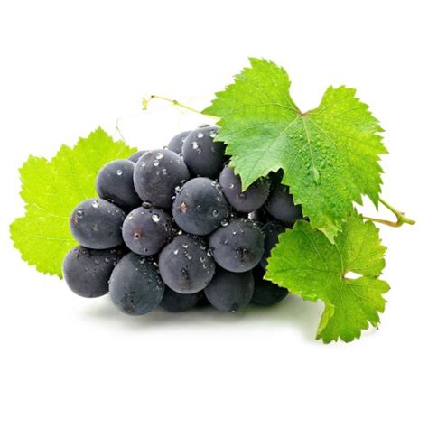 Black Seedless Grapes Dandrea