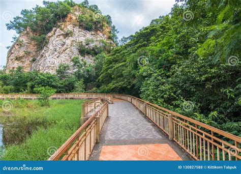 Bridge Walkway Along The Water Stock Photo Image Of Park Plant