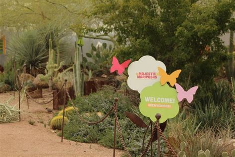 Botanical gardens offer a refuge for Arizona's butterfly species