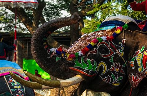 もっと旅が楽しくなる！有名なタイのお祭り – 京都のECサイト制作・サーバー保守・システム受託開発 クーネスト