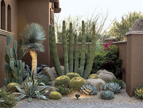 36 Beautiful Cactus Landscaping Ideas For Your Front Yards Decor