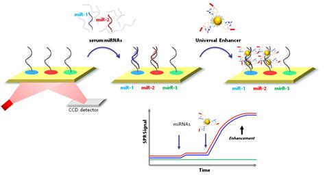 Spri Surface Plasmon Resonance Imaging Labionlabion