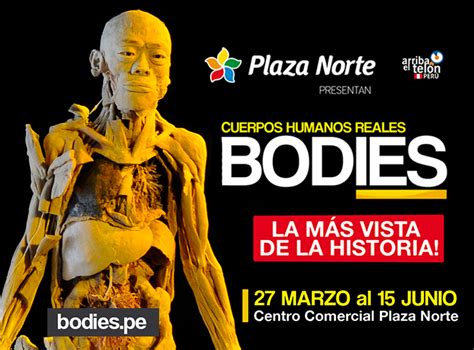 EXPOSICIÓN BODIES CUERPOS HUMANOS REALES SE DESPIDE DE PLAZA NORTE