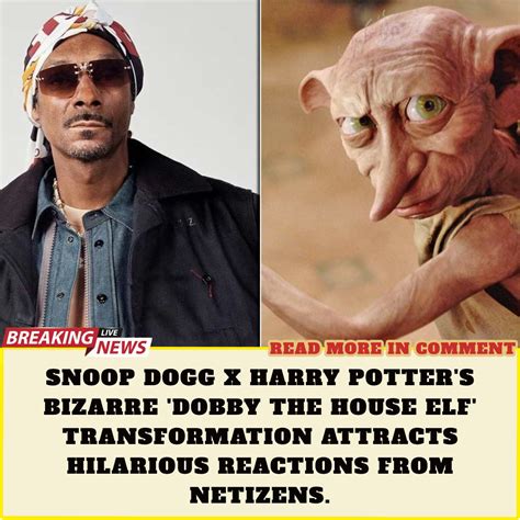 Snoop Dogg X Harry Potter's bizarre 'Dobby The House Elf ...