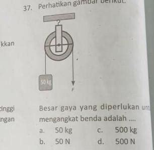 Tolong Bantu Jawab Kaka Brainly Co Id