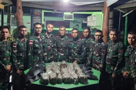 TNI Berhasil Gagalkan 20 Paket Ganja Kering Di Perbatasan RI PNG Hits IDN