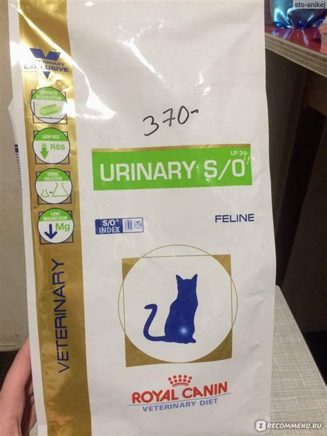 Состав, инструкция и обзор лечебного корма Уринари для котов от Royal Canin
