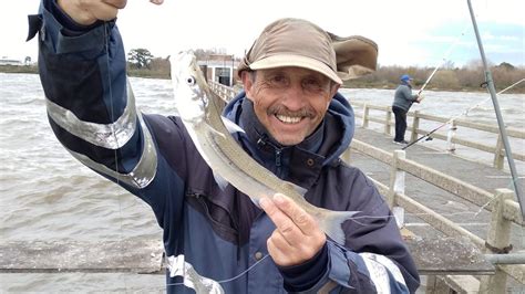 Los Mejores Pescados Para Visitar En Vacaciones De Invierno Diario Osdbe