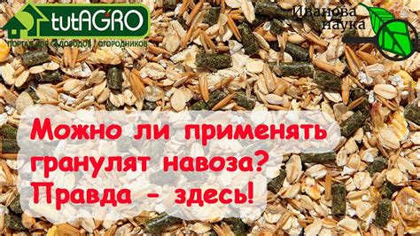 ВОЗ подтвердила ИВАНОВА НАУКА ПРАВА! Безопасное и эффективное ...