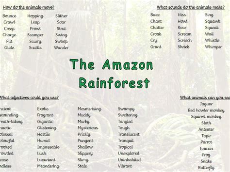 Amazon Rainforest Word Mat Teaching Resources