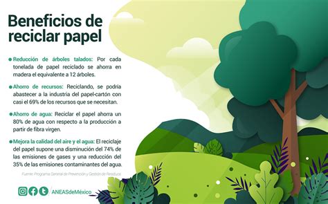 Beneficios De Reciclar Papel Infografía Mx