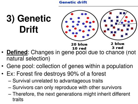 PPT - Speciation PowerPoint Presentation, free download - ID:1454543