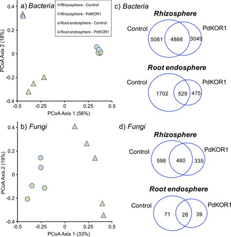 Principal Coordinates Analysis Pcoa Of 16s Rrna Based Download