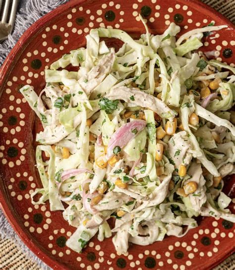 Chicken Coleslaw All Recipes Club