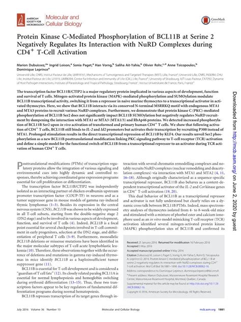 Protein Kinase C Mediated Phosphorylation Of Bcl B At Serine