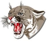 Van Wert Cougar Athletics GotAED Org