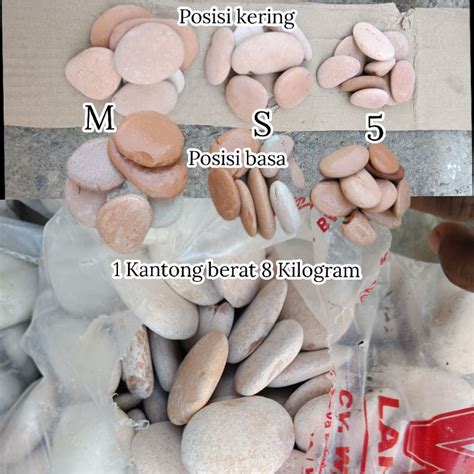 Jual Batu Koral Pink Salem Kupang Berat Kantong Kilogram Shopee