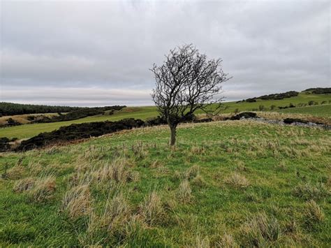 Walking without a dog – Scotland – Walking without a donkey