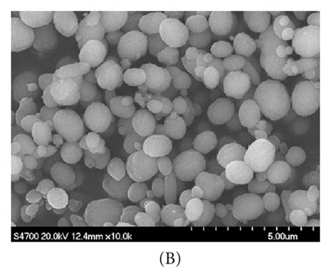 Sem Images And Xrd Patterns Of Caco3 Prepared In The Presence Of Edta