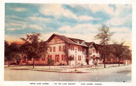 Lake Alfred Florida Hotel Lake Alfred Antique Postcard J56132 - Mary L ...