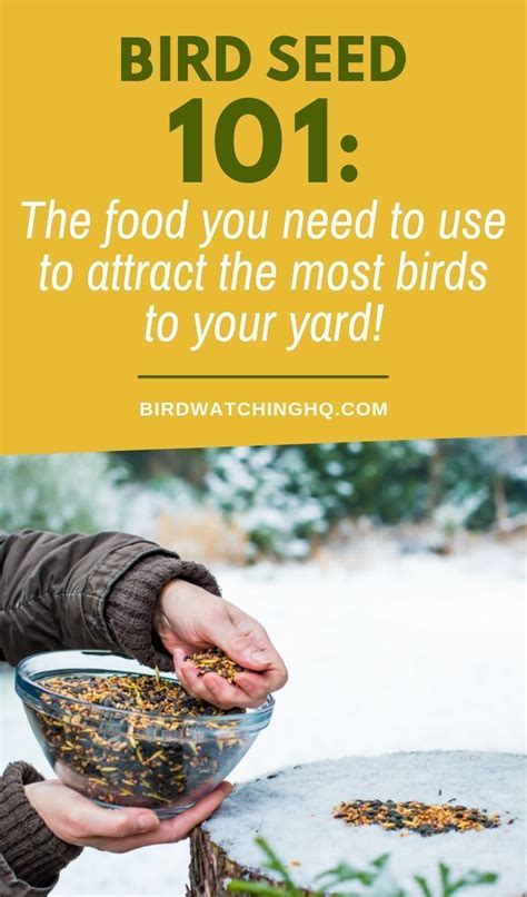 Bird Seed 101 The 10 Best Types For Wild Birds Bird Watching Hq