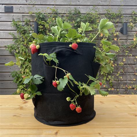 Sac de culture fraise 38 litres noir Ø35x45cm 8 trous supplémentaires